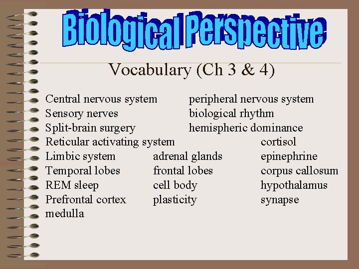 Vocabulary (Ch 3 & 4) Central nervous system peripheral nervous system Sensory nerves biological