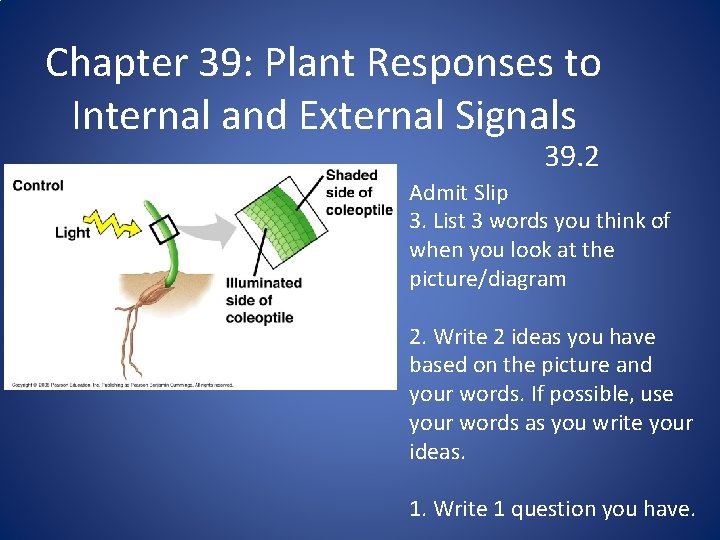 Chapter 39: Plant Responses to Internal and External Signals 39. 2 Admit Slip 3.