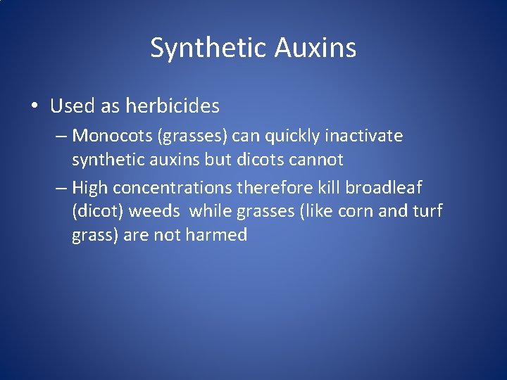 Synthetic Auxins • Used as herbicides – Monocots (grasses) can quickly inactivate synthetic auxins