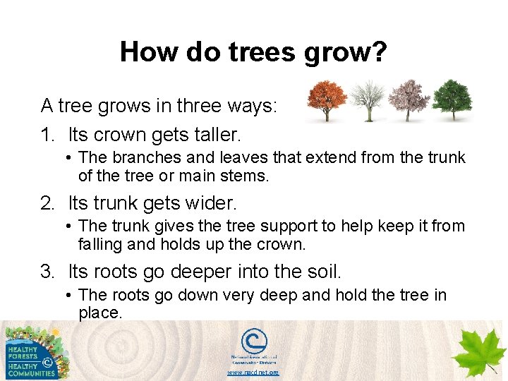 How do trees grow? A tree grows in three ways: 1. Its crown gets