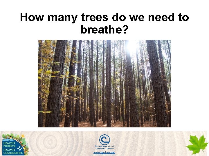 How many trees do we need to breathe? www. nacdnet. org 