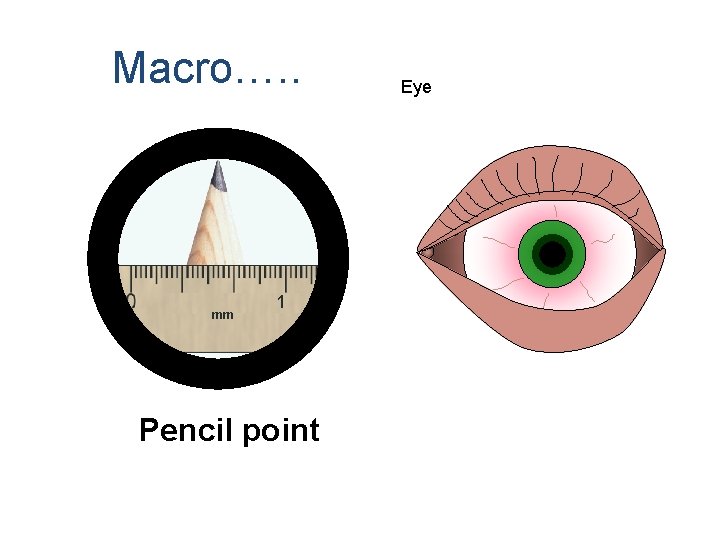 Macro…. . mm 1 Pencil point Eye 