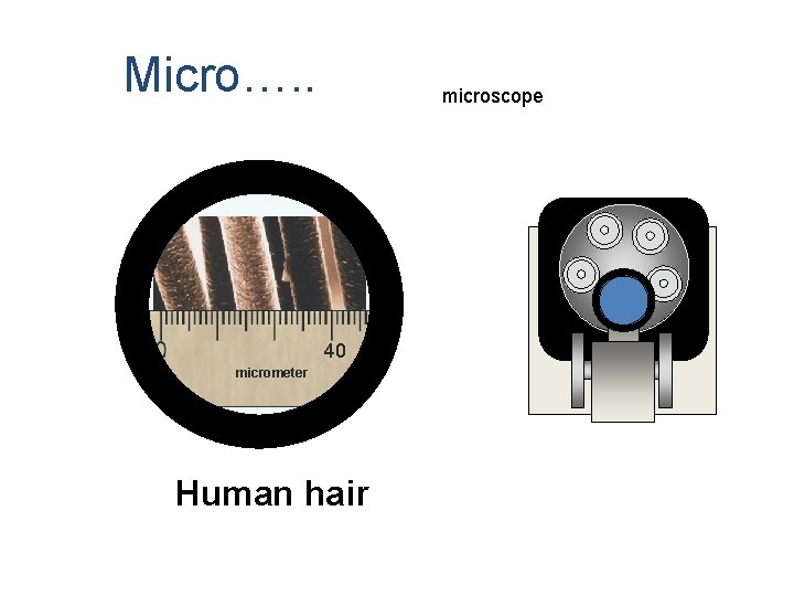 Micro…. . microscope 40 micrometer Human hair 