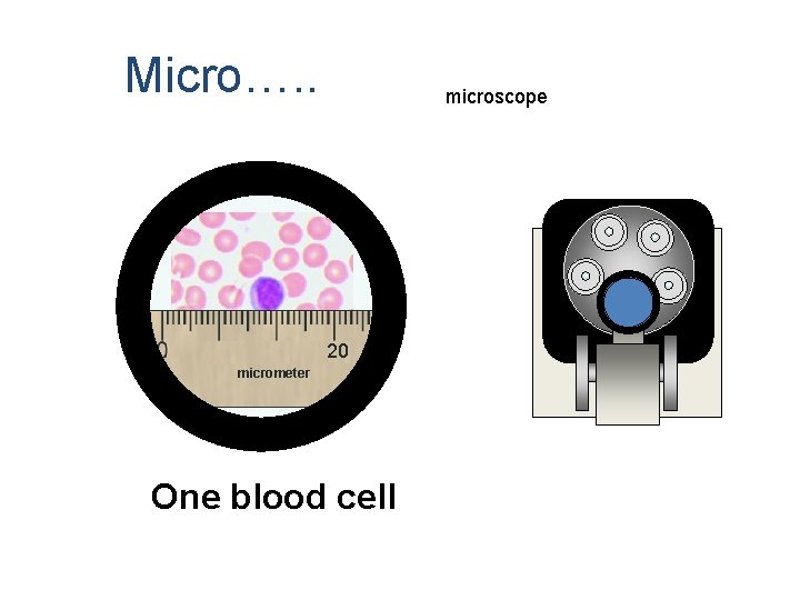 Micro…. . microscope 20 micrometer One blood cell 