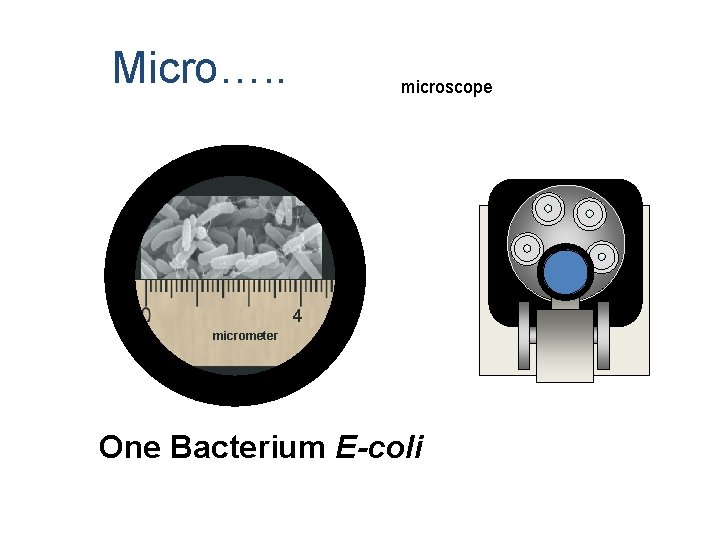 Micro…. . microscope 4 micrometer One Bacterium E-coli 