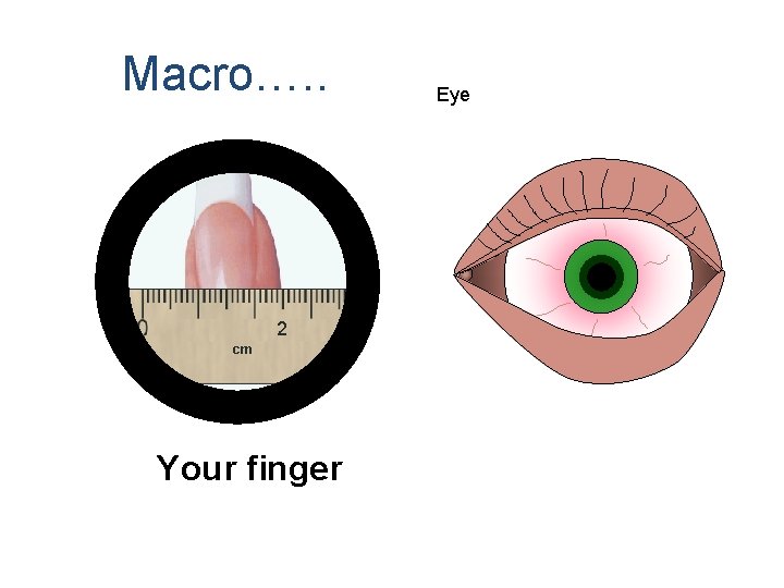 Macro…. . 2 cm Your finger Eye 