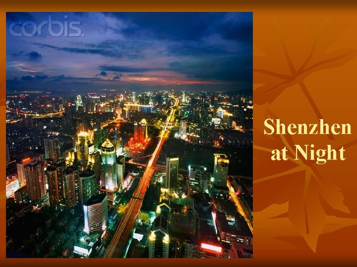 Shenzhen at Night 