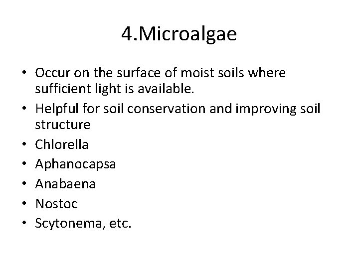 4. Microalgae • Occur on the surface of moist soils where sufficient light is