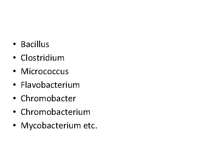  • • Bacillus Clostridium Micrococcus Flavobacterium Chromobacterium Mycobacterium etc. 