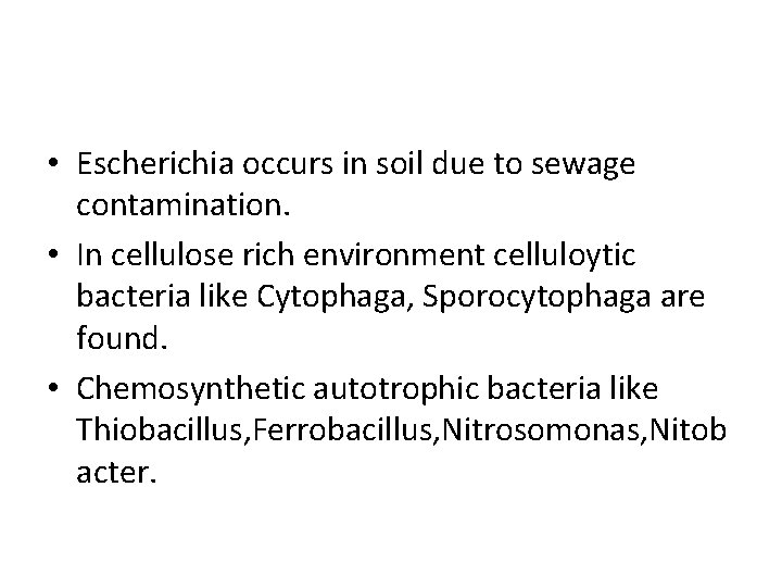  • Escherichia occurs in soil due to sewage contamination. • In cellulose rich