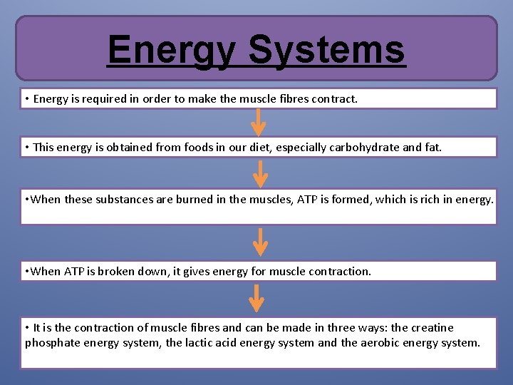 Energy Systems • Energy is required in order to make the muscle fibres contract. Energy Systems • Energy is required in order to make the muscle fibres contract.