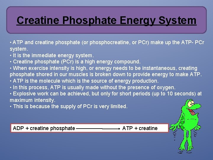 Creatine Phosphate Energy System • ATP and creatine phosphate (or phosphocreatine, or PCr) make Creatine Phosphate Energy System • ATP and creatine phosphate (or phosphocreatine, or PCr) make
