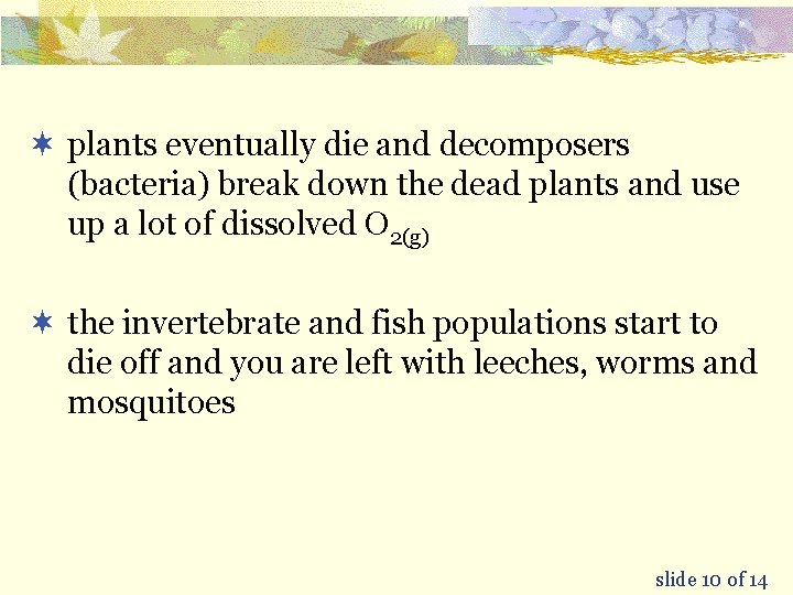 ¬ plants eventually die and decomposers (bacteria) break down the dead plants and use