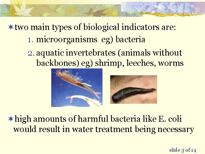 ¬two main types of biological indicators are: 1. microorganisms eg) bacteria 2. aquatic invertebrates