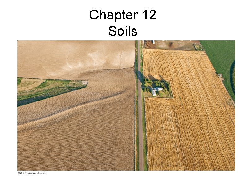 Chapter 12 Soils 