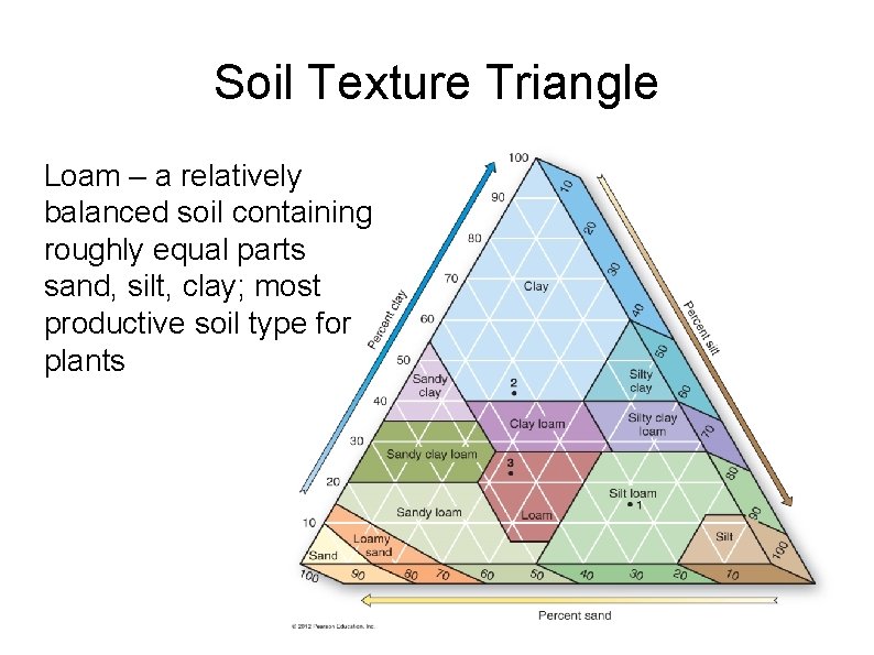Soil Texture Triangle Loam – a relatively balanced soil containing roughly equal parts sand,