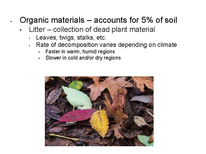  • Organic materials – accounts for 5% of soil • Litter – collection