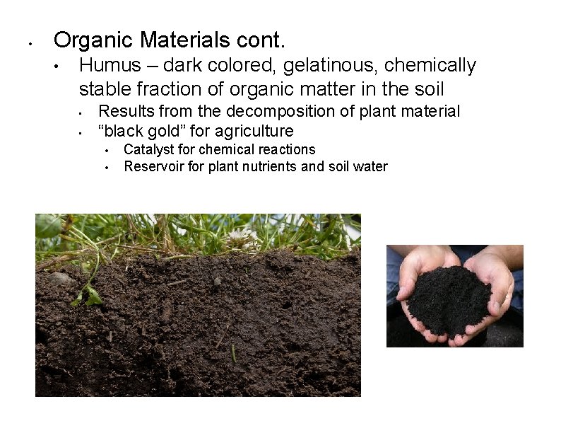  • Organic Materials cont. • Humus – dark colored, gelatinous, chemically stable fraction