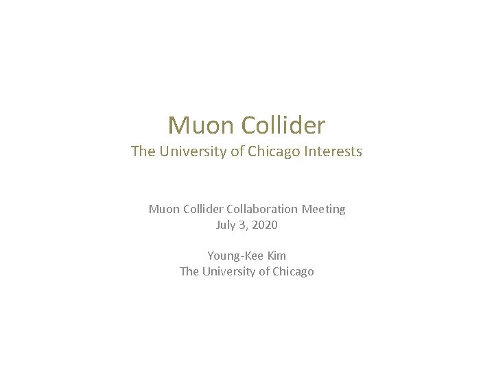 Muon Collider The University of Chicago Interests Muon Collider Collaboration Meeting July 3, 2020