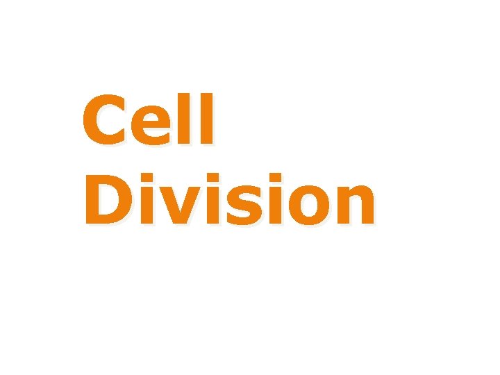 Cell Division 