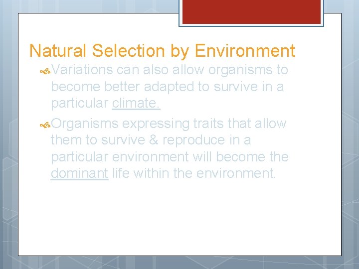 Natural Selection by Environment Variations can also allow organisms to become better adapted to