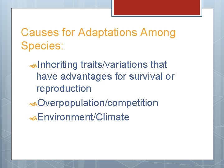 Causes for Adaptations Among Species: Inheriting traits/variations that have advantages for survival or reproduction