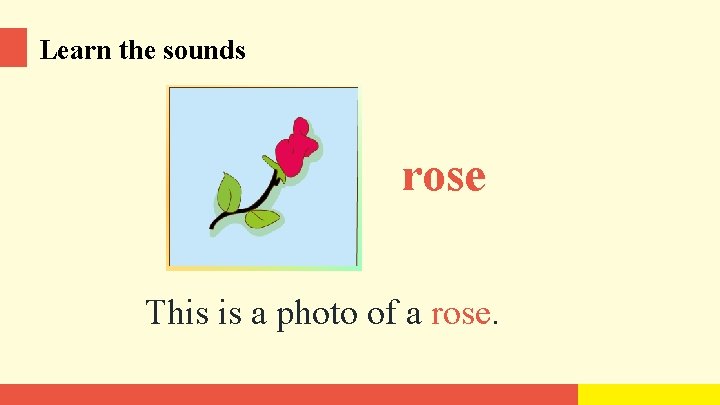 Learn the sounds rose This is a photo of a rose. 