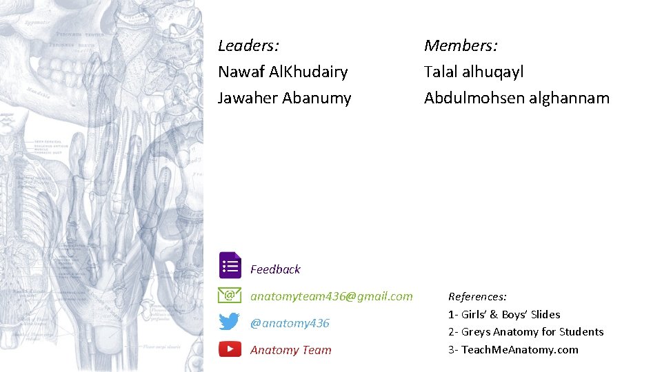 Leaders: Nawaf Al. Khudairy Jawaher Abanumy Members: Talal alhuqayl Abdulmohsen alghannam Feedback anatomyteam 436@gmail.