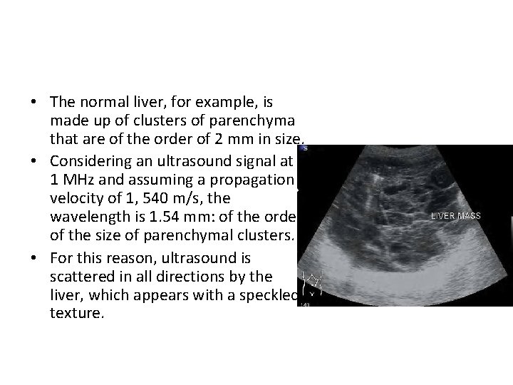  • The normal liver, for example, is made up of clusters of parenchyma