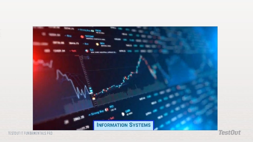 TESTOUT IT FUNDAMENTALS PRO 