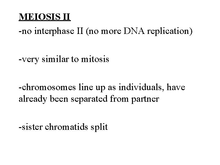 MEIOSIS II -no interphase II (no more DNA replication) -very similar to mitosis -chromosomes