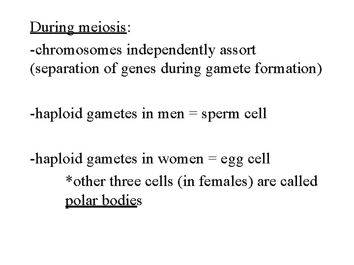 During meiosis: -chromosomes independently assort (separation of genes during gamete formation) -haploid gametes in