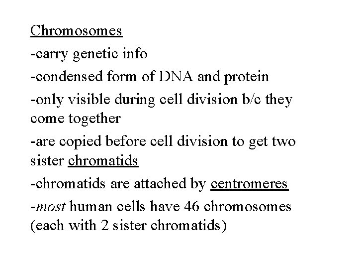 Chromosomes -carry genetic info -condensed form of DNA and protein -only visible during cell