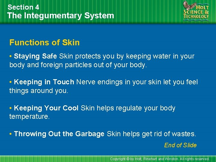 Section 4 The Integumentary System Functions of Skin • Staying Safe Skin protects you