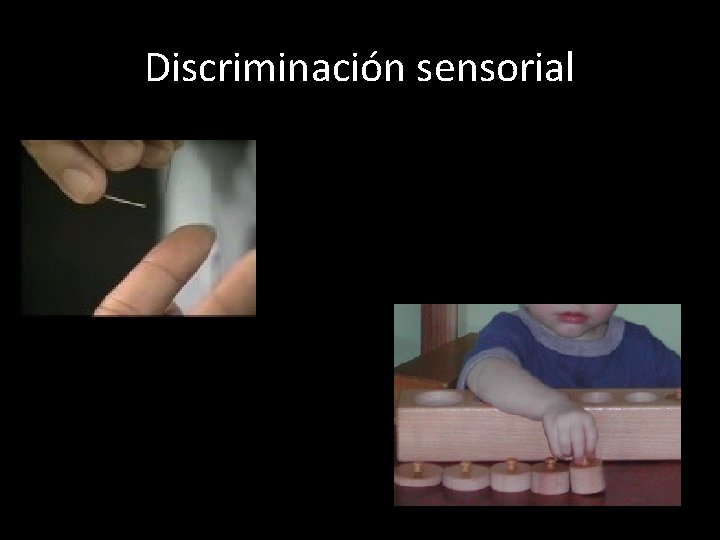 Discriminación sensorial 