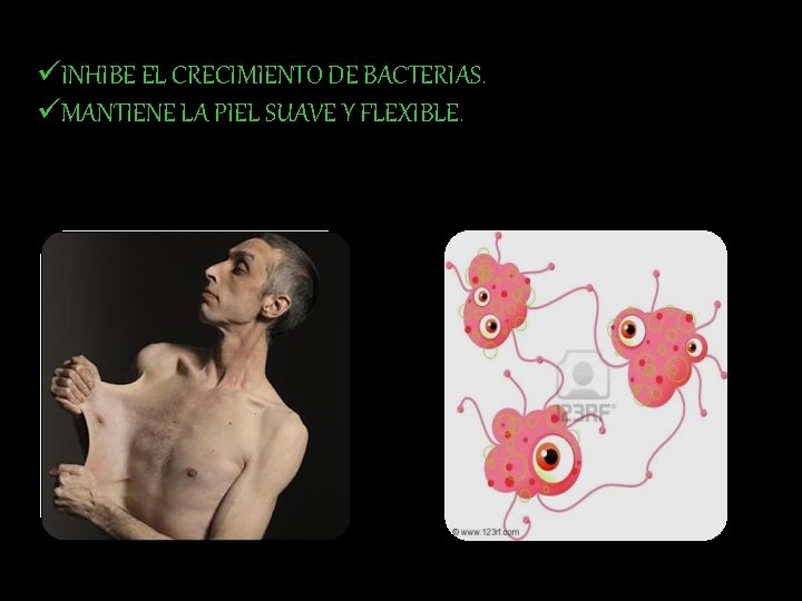 üINHIBE EL CRECIMIENTO DE BACTERIAS. üMANTIENE LA PIEL SUAVE Y FLEXIBLE. 