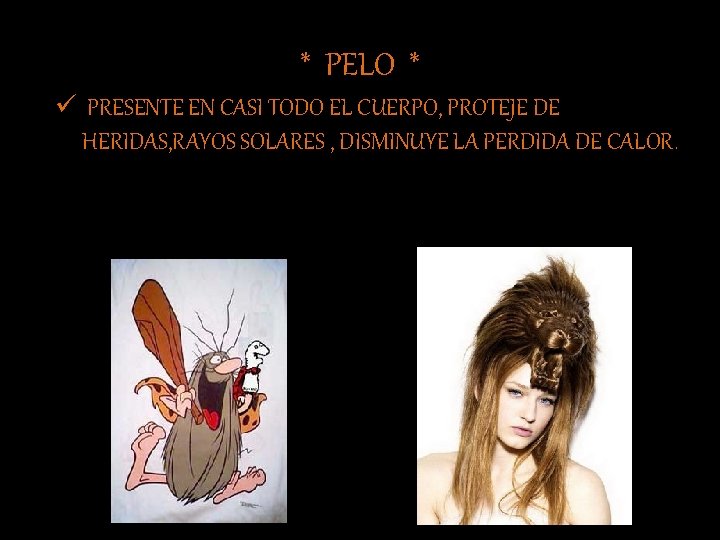 * PELO * ü PRESENTE EN CASI TODO EL CUERPO, PROTEJE DE HERIDAS, RAYOS