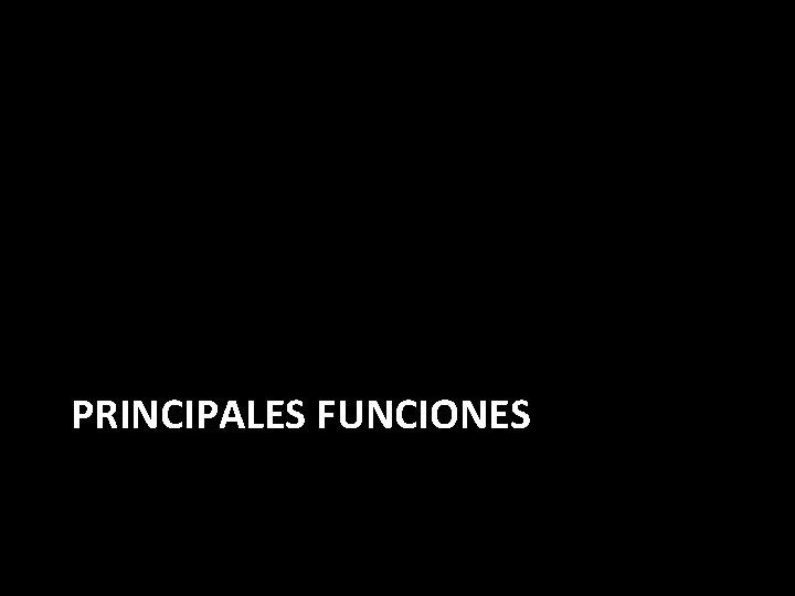 PRINCIPALES FUNCIONES 