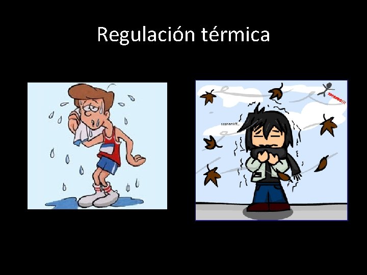 Regulación térmica 