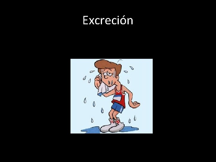 Excreción 