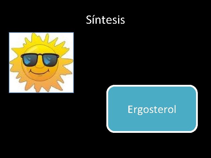 Síntesis Ergosterol 