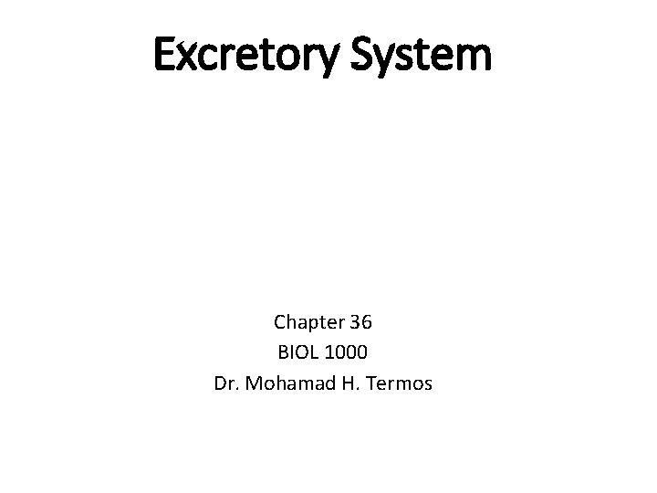 Excretory System Chapter 36 BIOL 1000 Dr. Mohamad H. Termos 