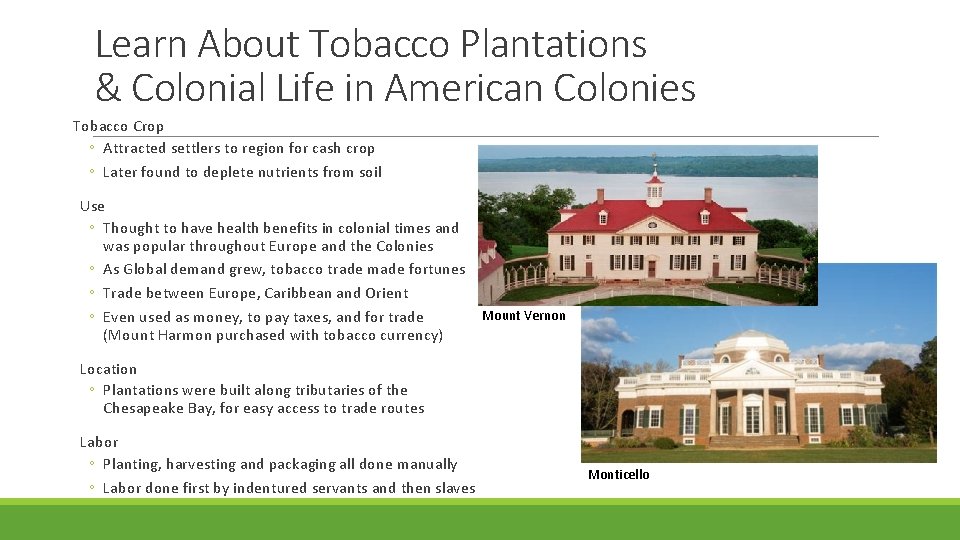 Learn About Tobacco Plantations & Colonial Life in American Colonies Tobacco Crop ◦ Attracted
