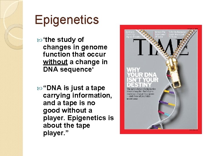 Epigenetics ‘the study of changes in genome function that occur without a change in