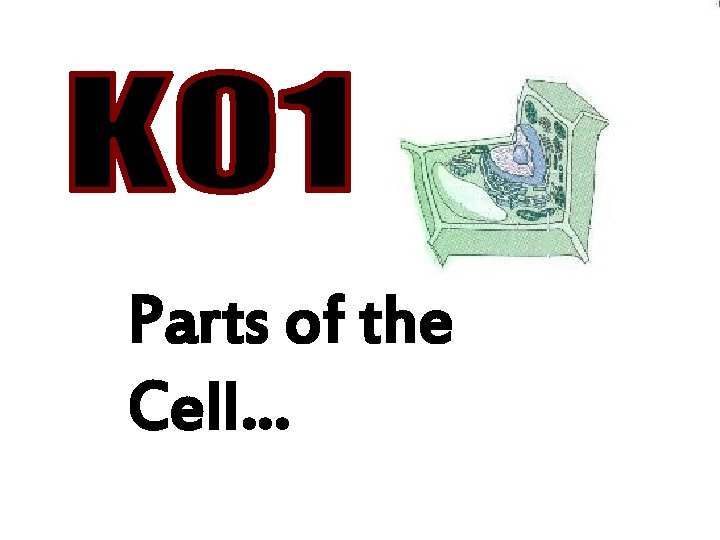 Parts of the Cell… 