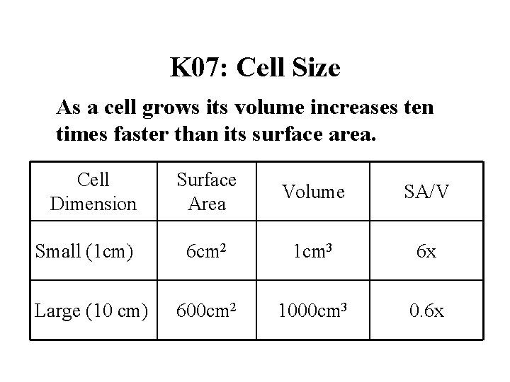 K 07: Cell Size As a cell grows its volume increases ten times faster