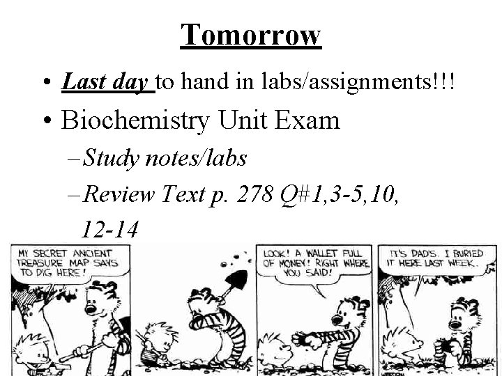 Tomorrow • Last day to hand in labs/assignments!!! • Biochemistry Unit Exam – Study