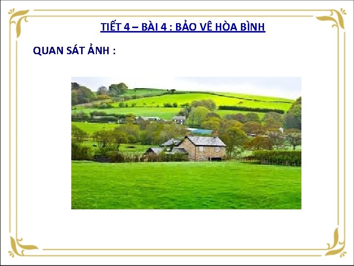 TIẾT 4 – BÀI 4 : BẢO VỆ HÒA BÌNH QUAN SÁT ẢNH :