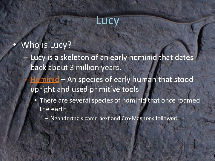 Lucy • Who is Lucy? – Lucy is a skeleton of an early hominid