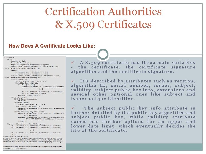 Certification Authorities & X. 509 Certificates How Does A Certificate Looks Like: A X.